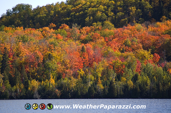 Fall Colors, MN North Shore