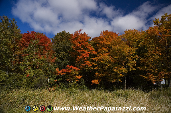 Fall Colors, Duluth MN